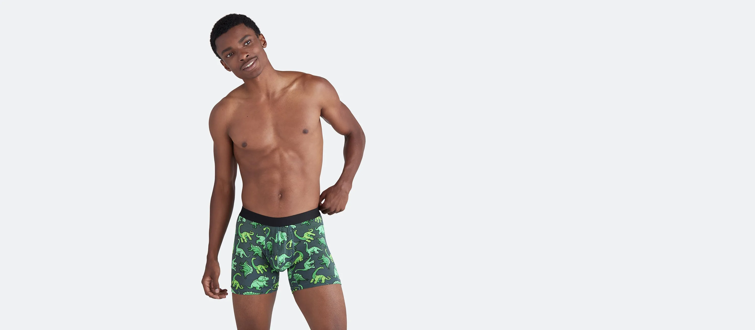 Boxer Brief | Dinos