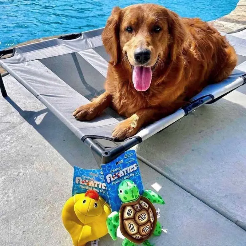 Duck Floatie Dog Toy